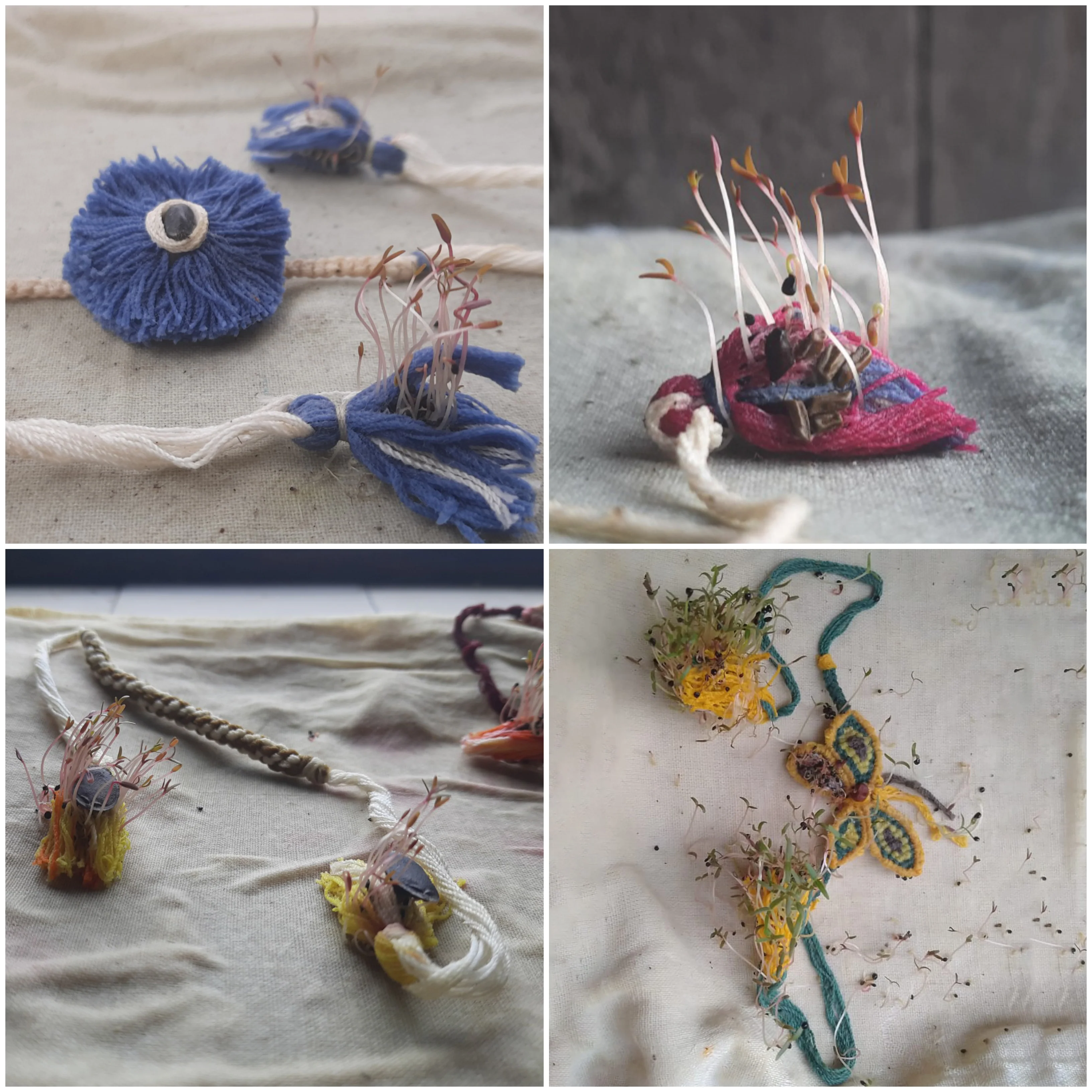 Tiny Flower - Handmade Eco-Friendly Plantable Seed Rakhi 05 - Image 5